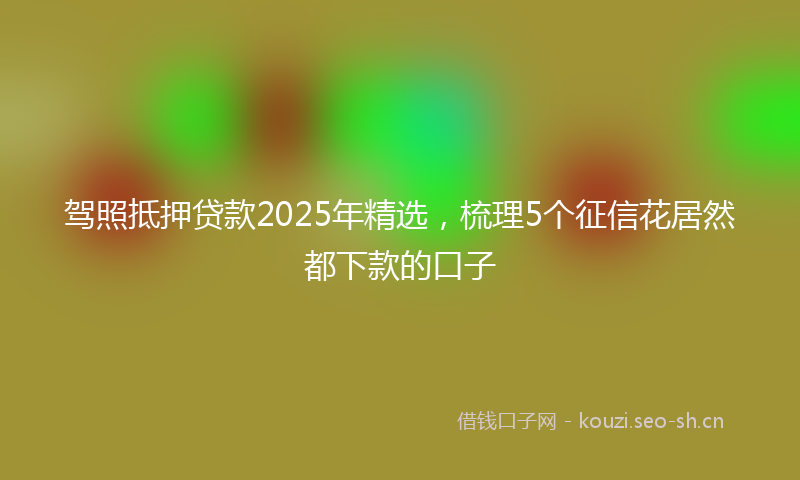 驾照抵押贷款2025年精选，梳理5个征信花居然都下款的口子