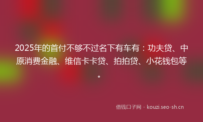 2025年的首付不够不过名下有车有：功夫贷、中原消费金融、维信卡卡贷、拍拍贷、小花钱包等。