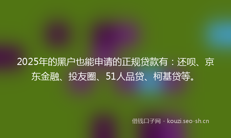 2025年的黑户也能申请的正规贷款有：还呗、京东金融、投友圈、51人品贷、柯基贷等。