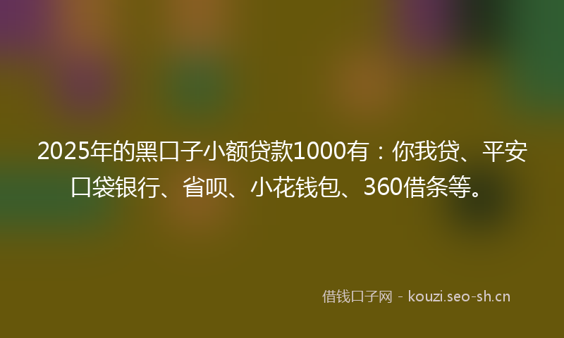 2025年的黑口子小额贷款1000有:你我贷、平安口袋银行、省呗、小花钱包、360借条等。