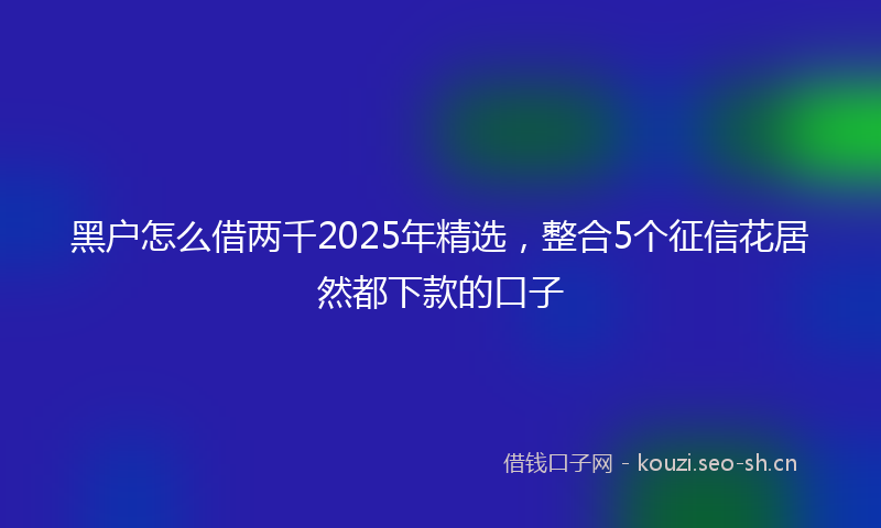 黑户怎么借两千2025年精选，整合5个征信花居然都下款的口子