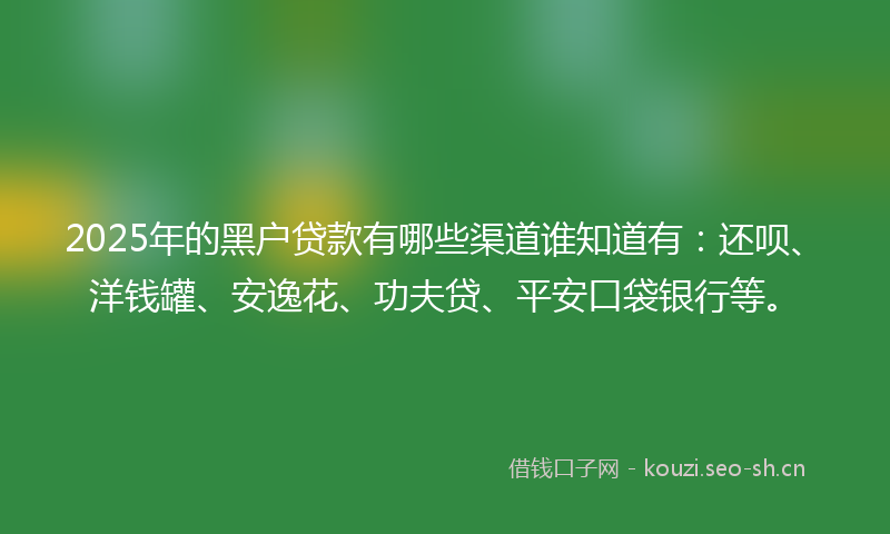 2025年的黑户贷款有哪些渠道谁知道有：还呗、洋钱罐、安逸花、功夫贷、平安口袋银行等。