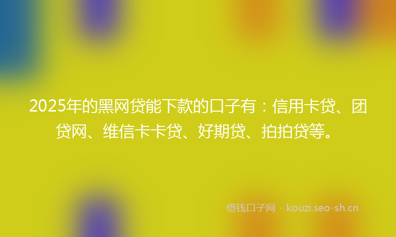 2025年的黑网贷能下款的口子有：信用卡贷、团贷网、维信卡卡贷、好期贷、拍拍贷等。