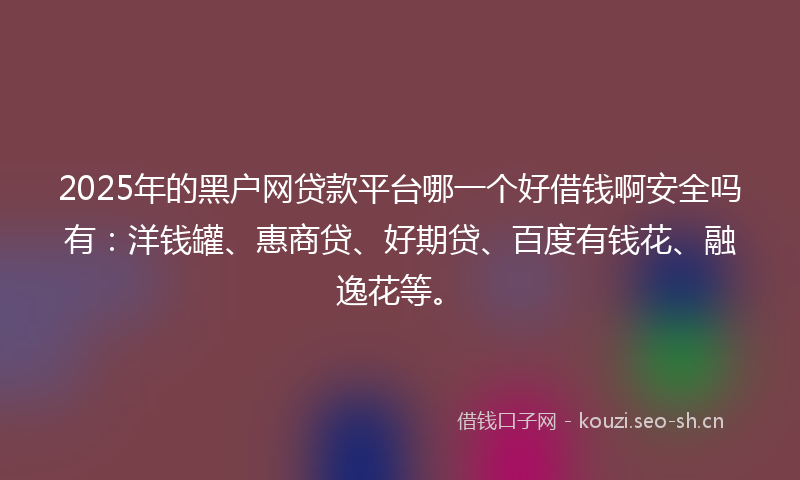 2025年的黑户网贷款平台哪一个好借钱啊安全吗有：洋钱罐、惠商贷、好期贷、百度有钱花、融逸花等。