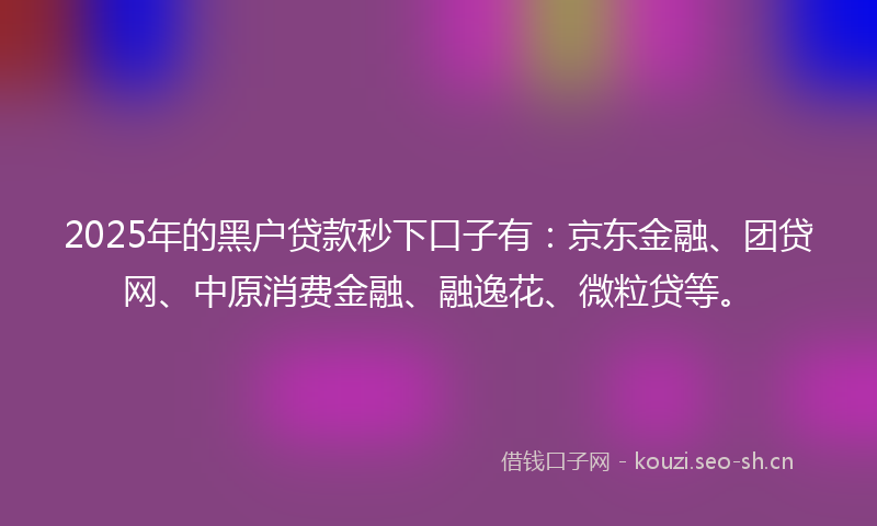 2025年的黑户贷款秒下口子有：京东金融、团贷网、中原消费金融、融逸花、微粒贷等。