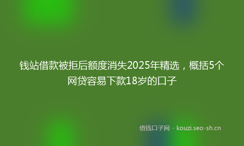 钱站借款被拒后额度消失2025年精选，概括5个网贷容易下款18岁的口子