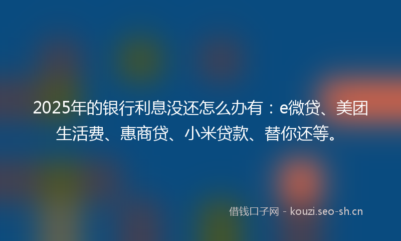 2025年的银行利息没还怎么办有：e微贷、美团生活费、惠商贷、小米贷款、替你还等。