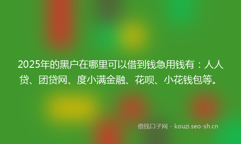 2025年的黑户在哪里可以借到钱急用钱有：人人贷、团贷网、度小满金融、花呗、小花钱包等。