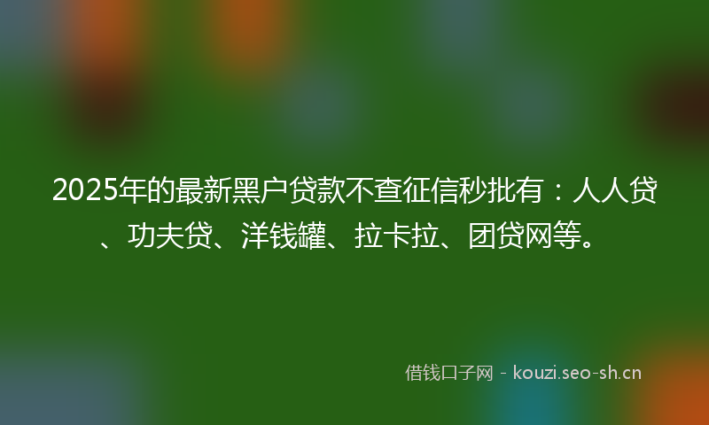 2025年的最新黑户贷款不查征信秒批有：人人贷、功夫贷、洋钱罐、拉卡拉、团贷网等。