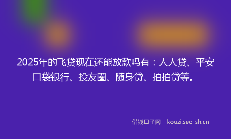 2025年的飞贷现在还能放款吗有：人人贷、平安口袋银行、投友圈、随身贷、拍拍贷等。