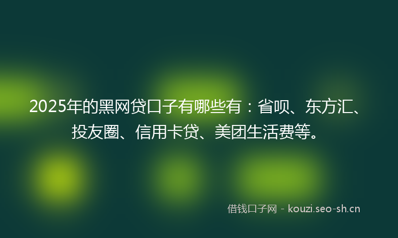 2025年的黑网贷口子有哪些有：省呗、东方汇、投友圈、信用卡贷、美团生活费等。