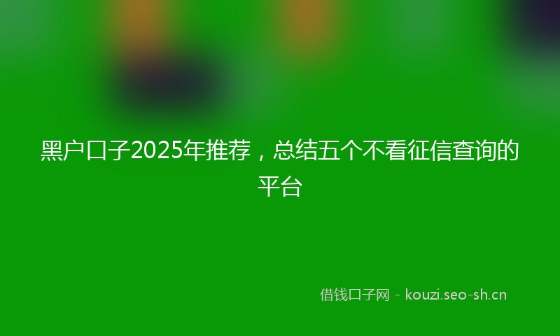 黑户口子2025年推荐,总结五个不看征信查询的平台