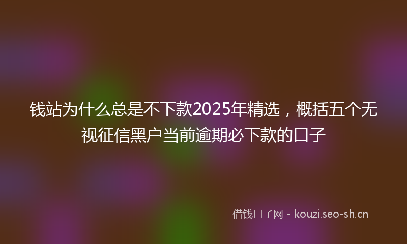 钱站为什么总是不下款2025年精选，概括五个无视征信黑户当前逾期必下款的口子