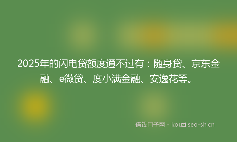 2025年的闪电贷额度通不过有：随身贷、京东金融、e微贷、度小满金融、安逸花等。