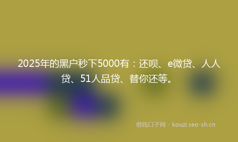 2025年的黑户秒下5000有：还呗、e微贷、人人贷、51人品贷、替你还等。