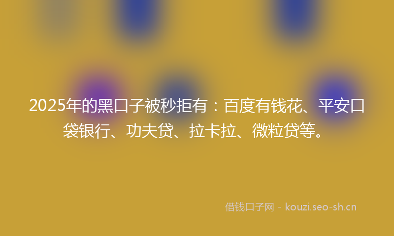 2025年的黑口子被秒拒有：百度有钱花、平安口袋银行、功夫贷、拉卡拉、微粒贷等。