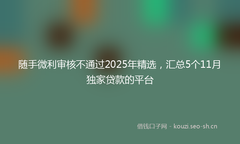 随手微利审核不通过2025年精选，汇总5个11月独家贷款的平台