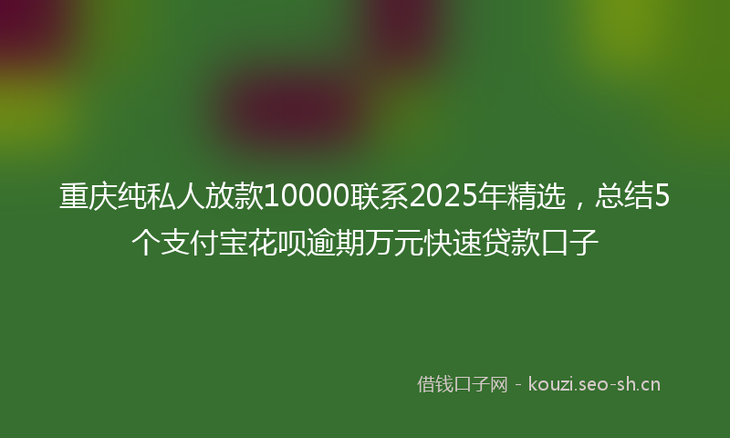 重庆纯私人放款10000联系2025年精选,总结5个支付宝花呗逾期万元快速贷款口子