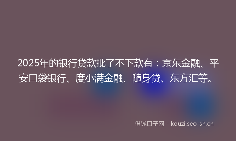 2025年的银行贷款批了不下款有:京东金融、平安口袋银行、度小满金融、随身贷、东方汇等。
