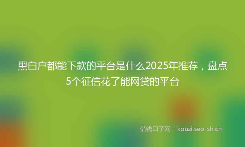 黑白户都能下款的平台是什么2025年推荐,盘点5个征信花了能网贷的平台