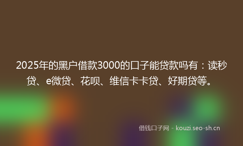 2025年的黑户借款3000的口子能贷款吗有：读秒贷、e微贷、花呗、维信卡卡贷、好期贷等。