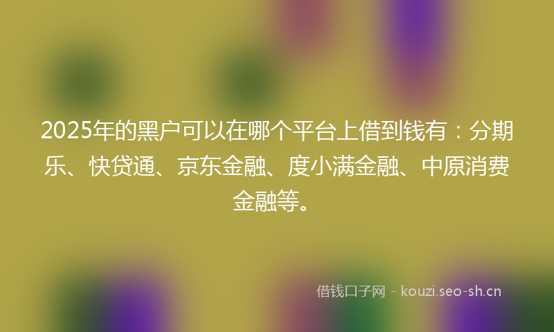 2025年的黑户可以在哪个平台上借到钱有：分期乐、快贷通、京东金融、度小满金融、中原消费金融等。