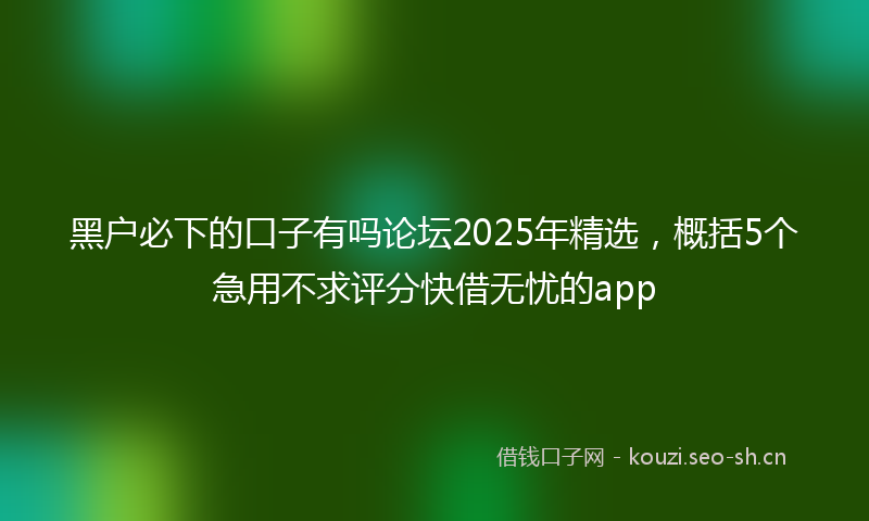 黑户必下的口子有吗论坛2025年精选，概括5个急用不求评分快借无忧的app