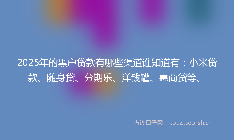 2025年的黑户贷款有哪些渠道谁知道有:小米贷款、随身贷、分期乐、洋钱罐、惠商贷等。