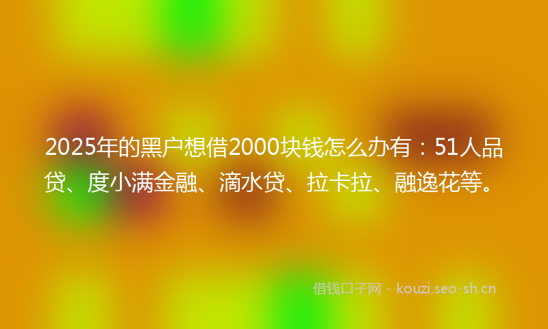 2025年的黑户想借2000块钱怎么办有：51人品贷、度小满金融、滴水贷、拉卡拉、融逸花等。