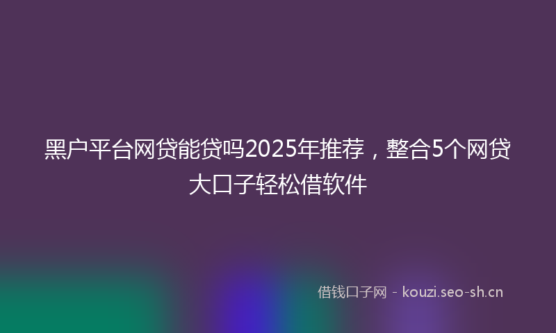 黑户平台网贷能贷吗2025年推荐,整合5个网贷大口子轻松借软件