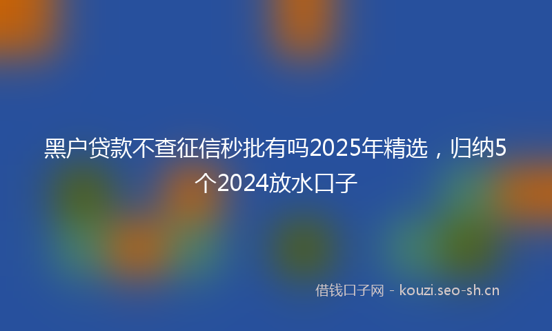黑户贷款不查征信秒批有吗2025年精选，归纳5个2024放水口子