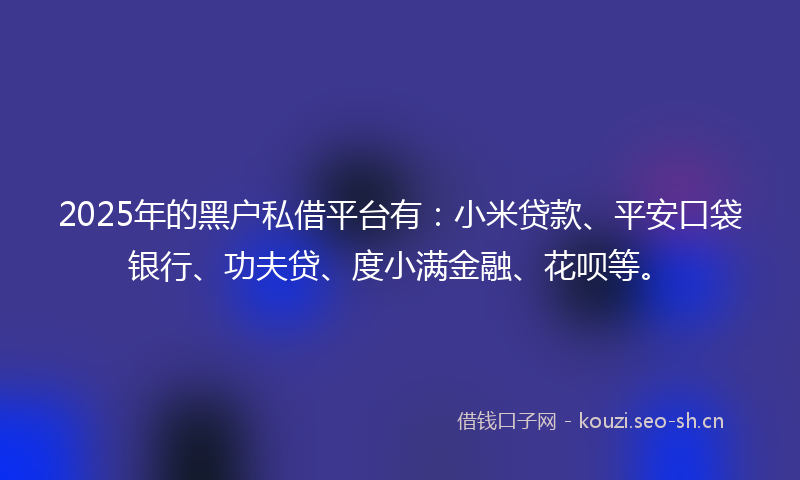 2025年的黑户私借平台有：小米贷款、平安口袋银行、功夫贷、度小满金融、花呗等。
