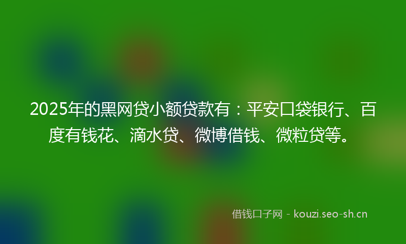 2025年的黑网贷小额贷款有：平安口袋银行、百度有钱花、滴水贷、微博借钱、微粒贷等。