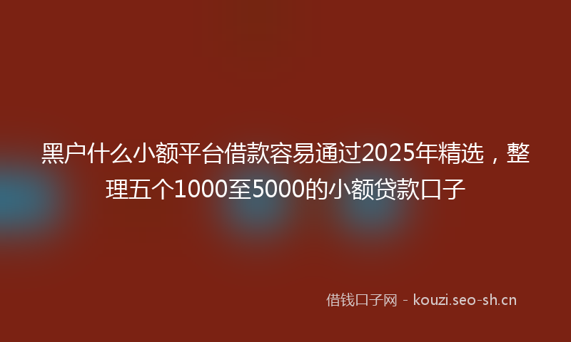 黑户什么小额平台借款容易通过2025年精选，整理五个1000至5000的小额贷款口子