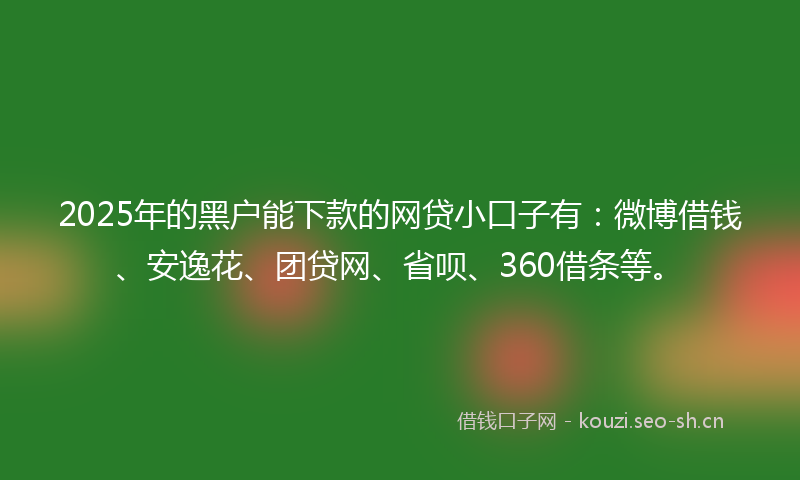 2025年的黑户能下款的网贷小口子有：微博借钱、安逸花、团贷网、省呗、360借条等。