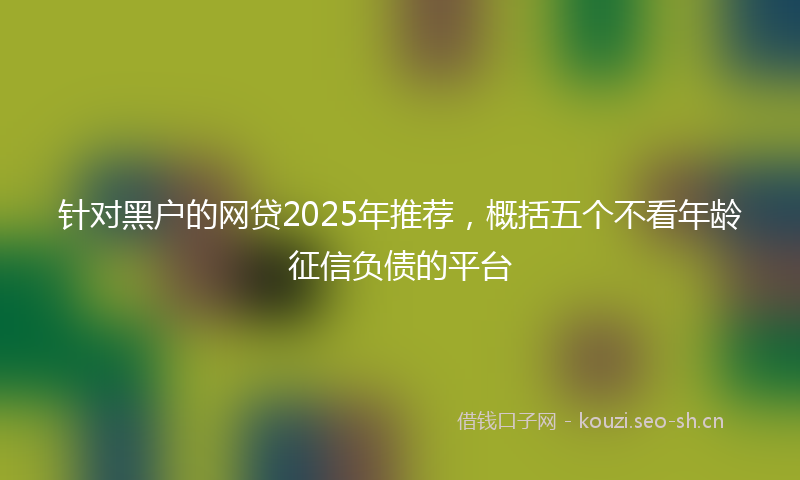 针对黑户的网贷2025年推荐，概括五个不看年龄征信负债的平台