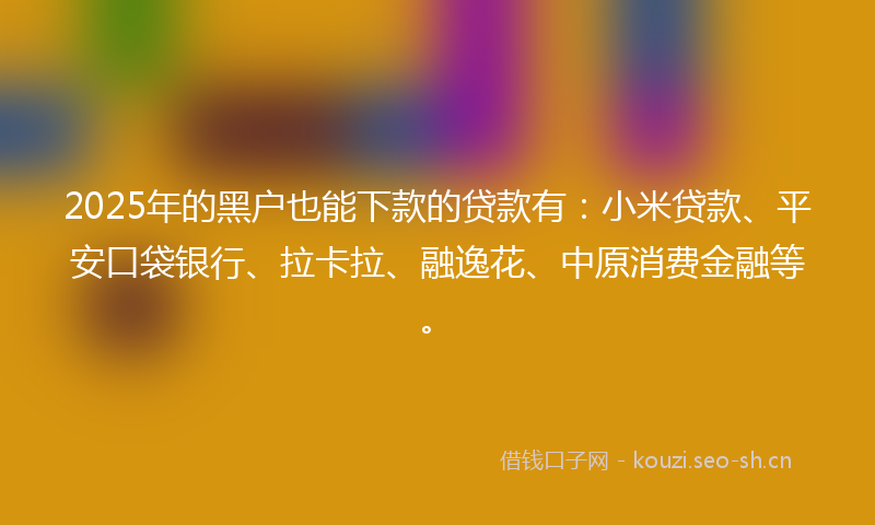 2025年的黑户也能下款的贷款有：小米贷款、平安口袋银行、拉卡拉、融逸花、中原消费金融等。