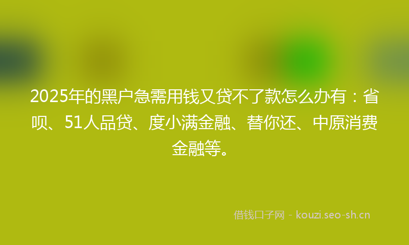 2025年的黑户急需用钱又贷不了款怎么办有：省呗、51人品贷、度小满金融、替你还、中原消费金融等。