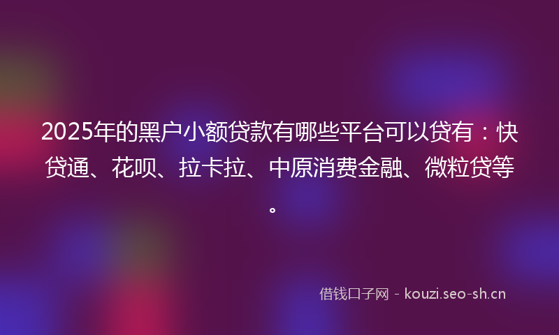 2025年的黑户小额贷款有哪些平台可以贷有：快贷通、花呗、拉卡拉、中原消费金融、微粒贷等。