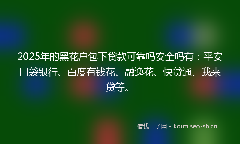 2025年的黑花户包下贷款可靠吗安全吗有：平安口袋银行、百度有钱花、融逸花、快贷通、我来贷等。