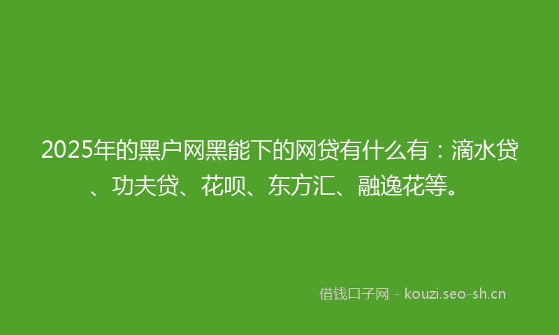 2025年的黑户网黑能下的网贷有什么有:滴水贷、功夫贷、花呗、东方汇、融逸花等。