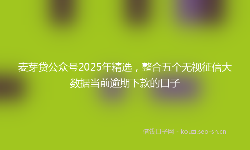 麦芽贷公众号2025年精选，整合五个无视征信大数据当前逾期下款的口子