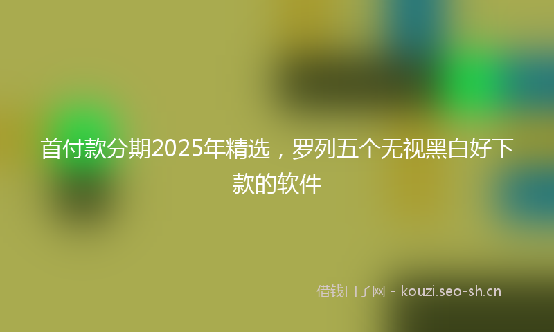 首付款分期2025年精选，罗列五个无视黑白好下款的软件