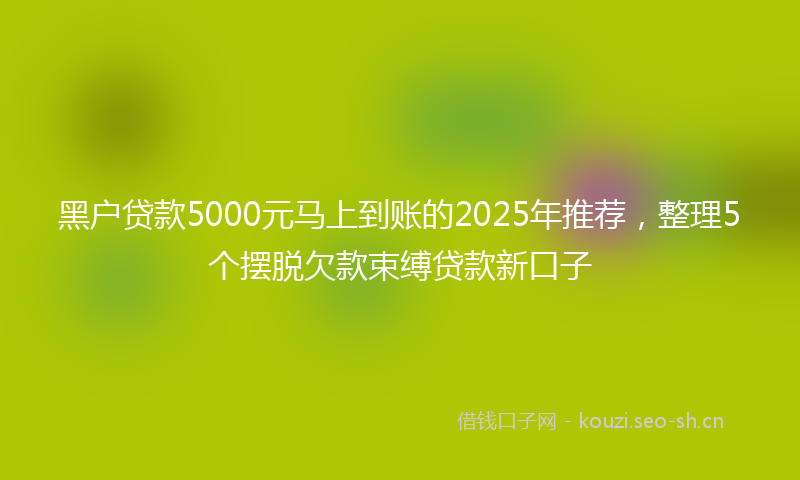 黑户贷款5000元马上到账的2025年推荐，整理5个摆脱欠款束缚贷款新口子