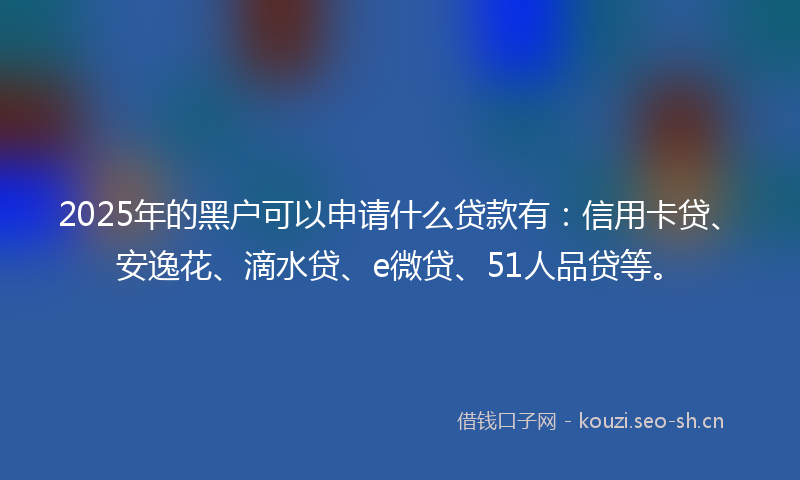 2025年的黑户可以申请什么贷款有：信用卡贷、安逸花、滴水贷、e微贷、51人品贷等。