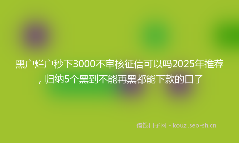 黑户烂户秒下3000不审核征信可以吗2025年推荐，归纳5个黑到不能再黑都能下款的口子