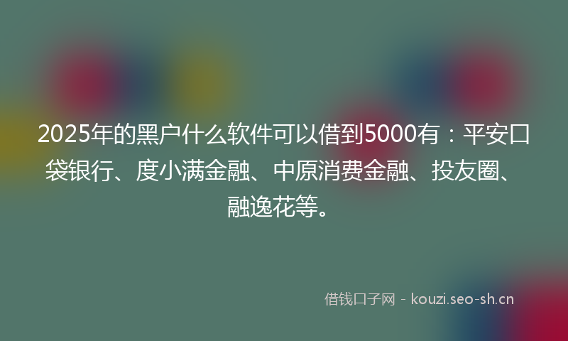 2025年的黑户什么软件可以借到5000有：平安口袋银行、度小满金融、中原消费金融、投友圈、融逸花等。