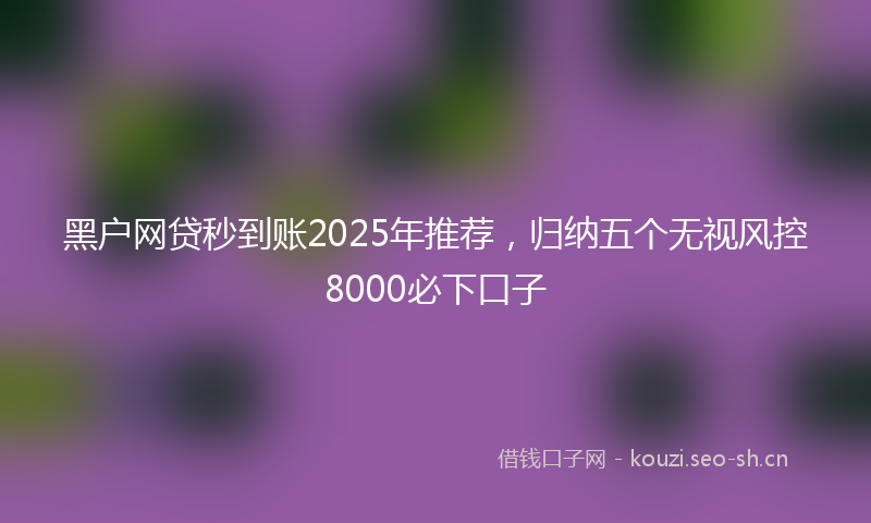 黑户网贷秒到账2025年推荐，归纳五个无视风控8000必下口子