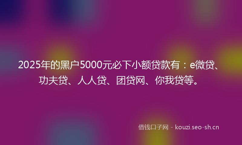 2025年的黑户5000元必下小额贷款有:e微贷、功夫贷、人人贷、团贷网、你我贷等。