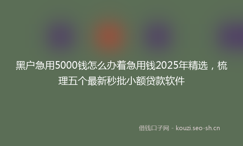 黑户急用5000钱怎么办着急用钱2025年精选，梳理五个最新秒批小额贷款软件